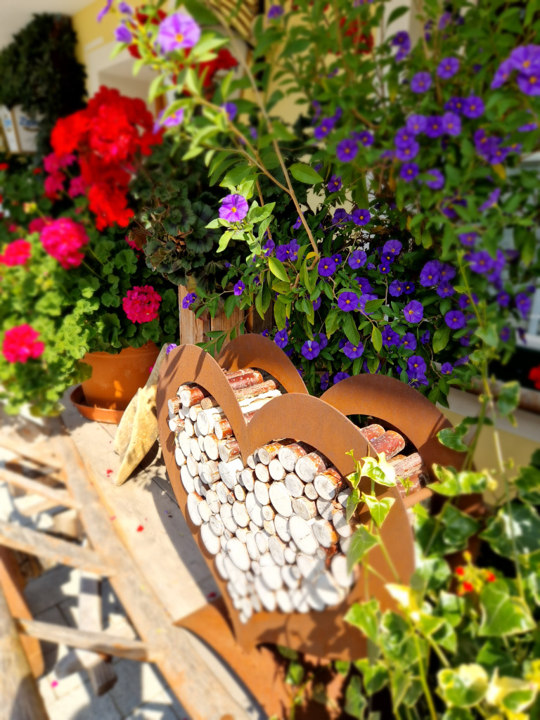 Holzlege in Herzform zwischen bunten Blüten auf einer sonnigen Terrasse
